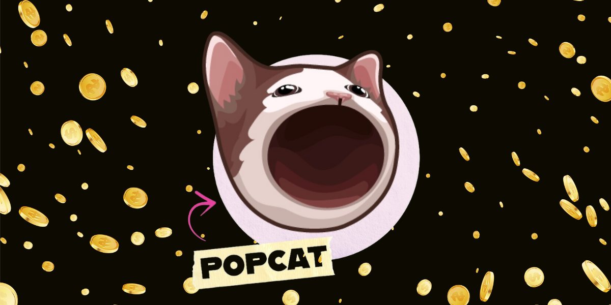 Popcat memecoin