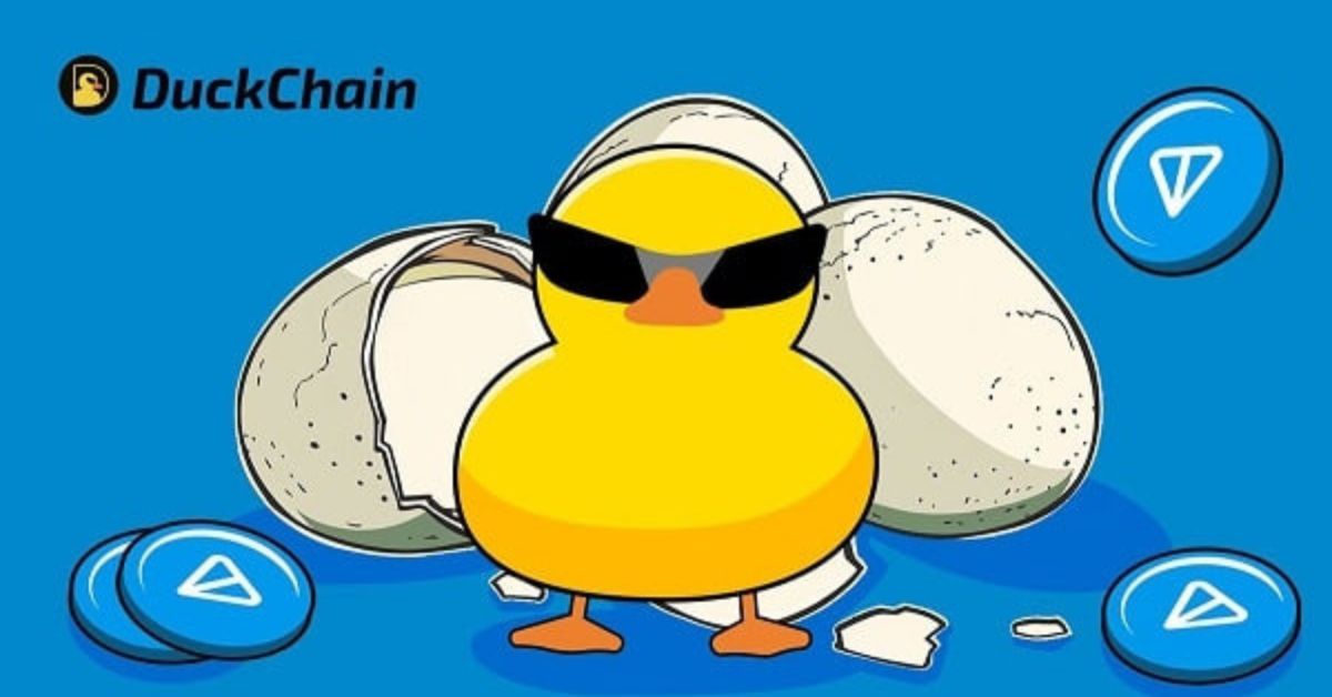 Duckchain Là Gì 2