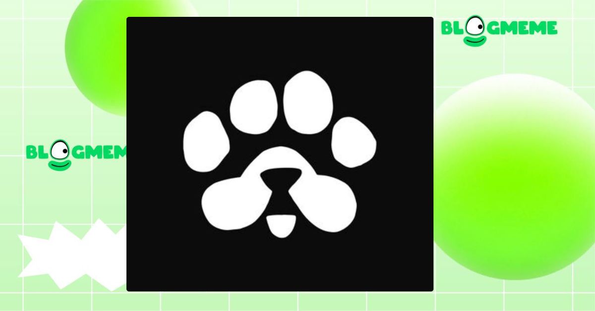 Airdrop PAWS 6