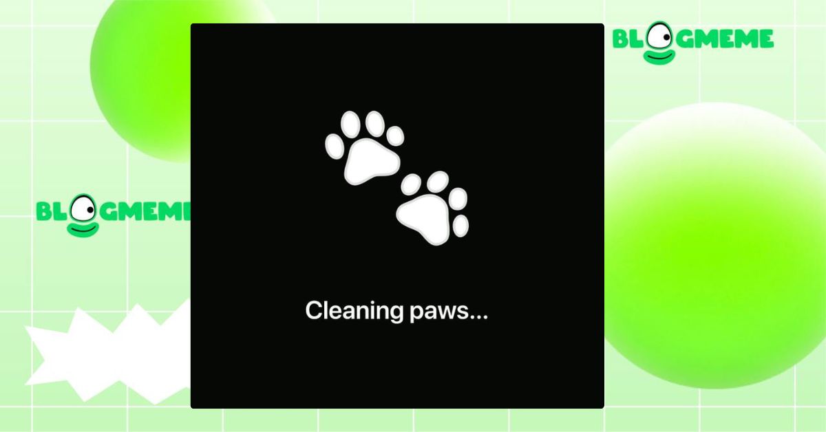 Airdrop PAWS 7