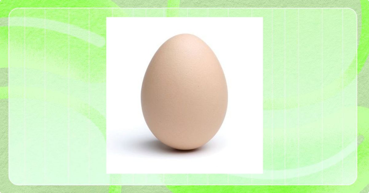 Biến Động Gía Gây Chú Y Của The Egg Memecoin