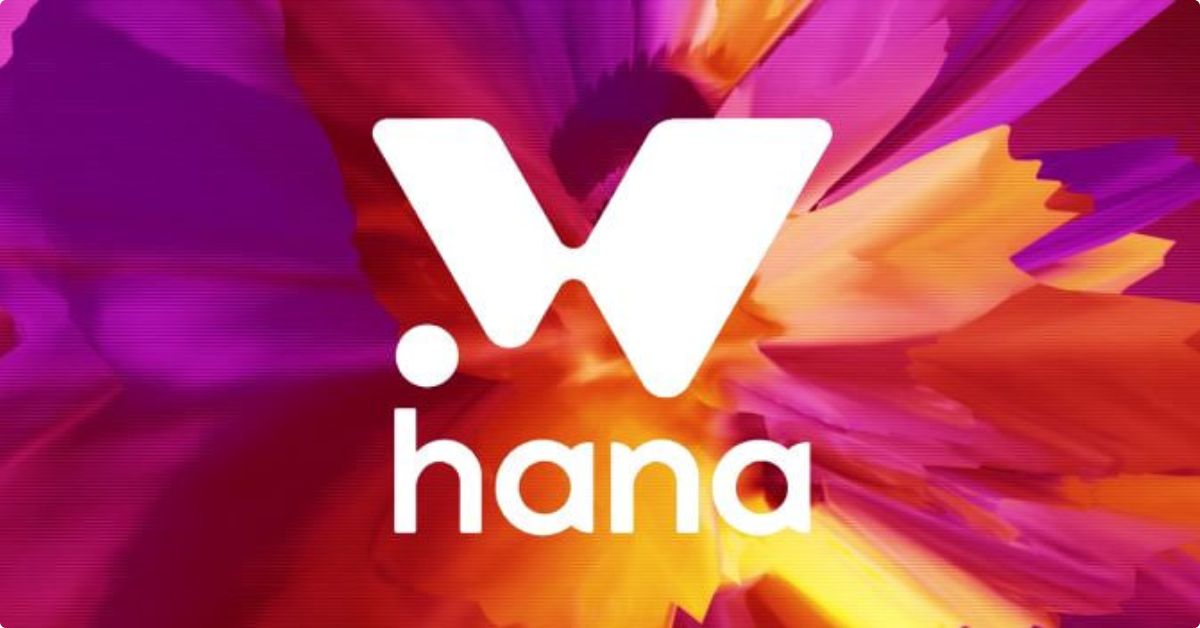 Hana Network Là Gì 2