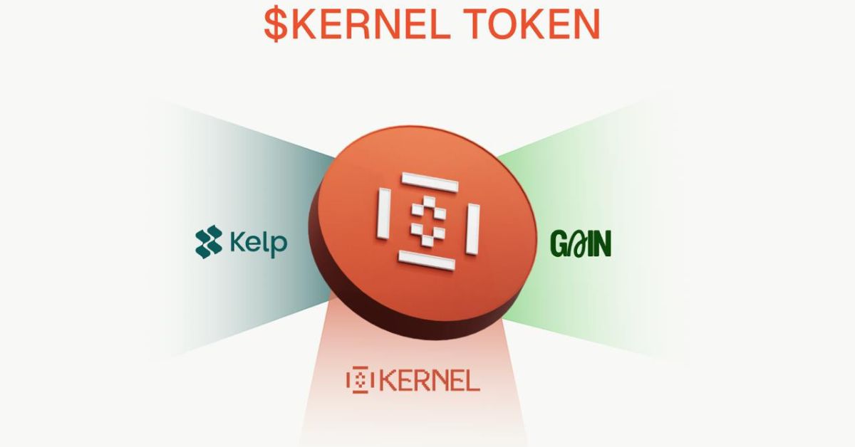 Kernel DAO là gì? Giải pháp Restaking trên BNB Chain 2 Kernel DAO là gì?