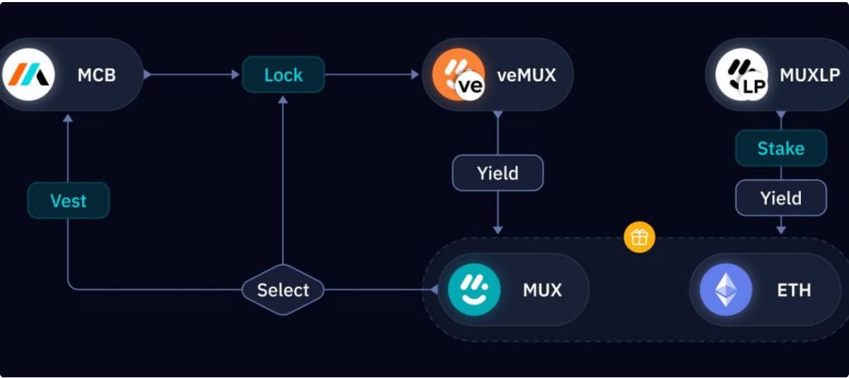 Mux Protocol Là Gì 3