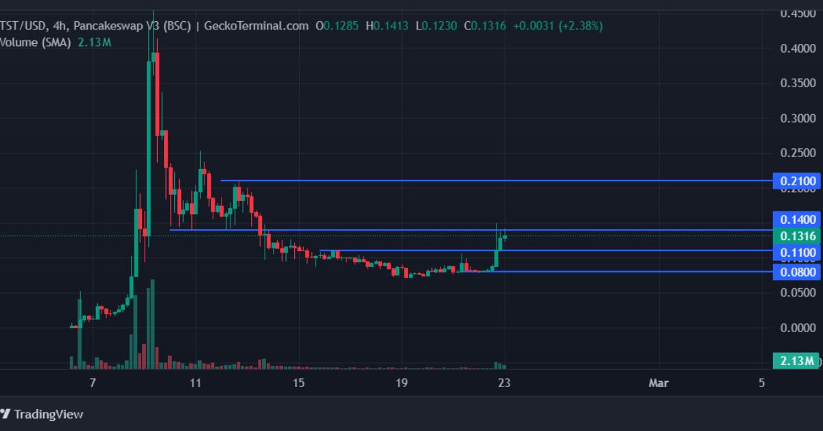 Top 3 memecoin- Memecoin TST