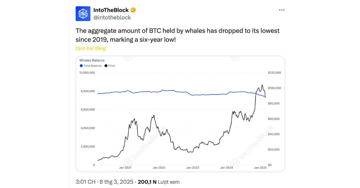 Cá voi giảm nắm giữ Bitcoin - Tín hiệu gì cho thị trường? 2 Cá voi giảm nắm giữ Bitcoin - Thông tin từ IntoTheBlock