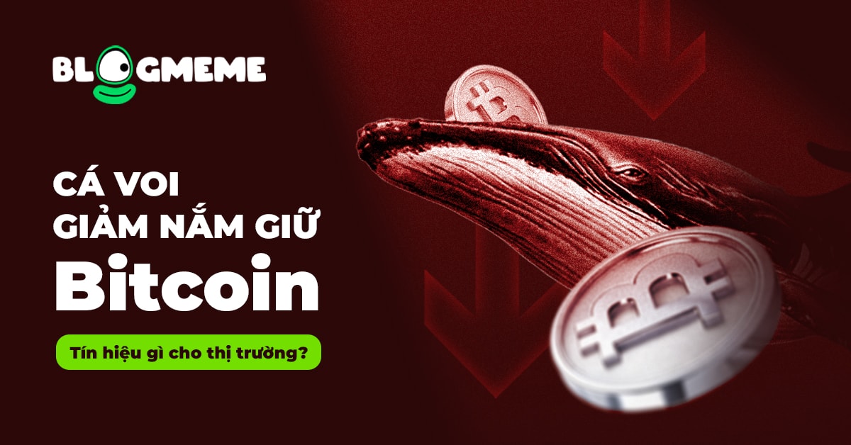 Cá voi Thumb