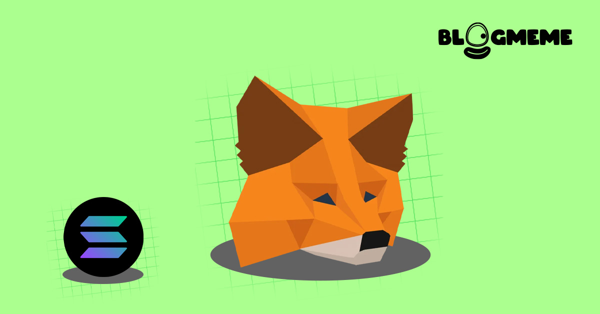 Bật mí cách thêm mạng Solana vào ví MetaMask để chốt lời Airdrop Neon EVM 2025