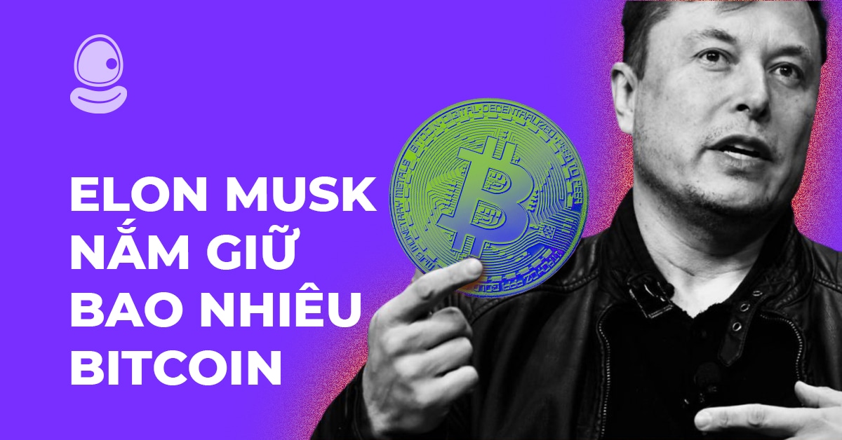 Elon musk nắm giữ bao nhiêu Bitcoin