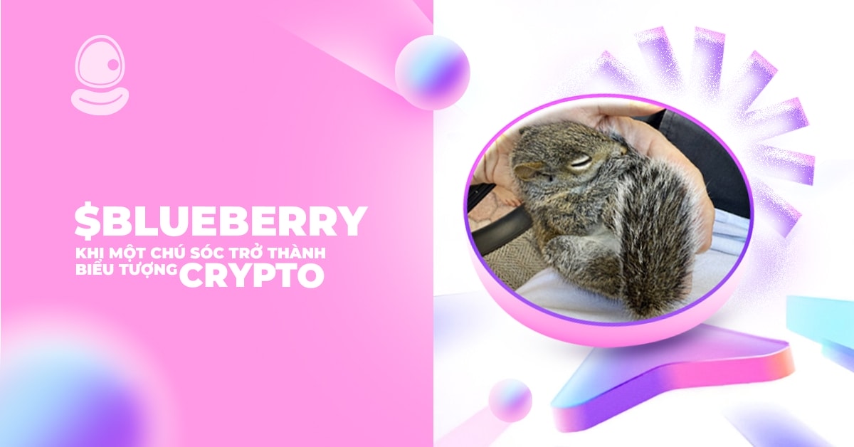 $BLUEBERRY khi một chú sóc trở thành biểu tượng crypto