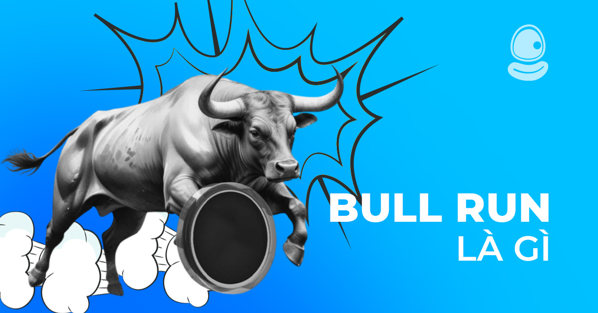 Bull Run là gì