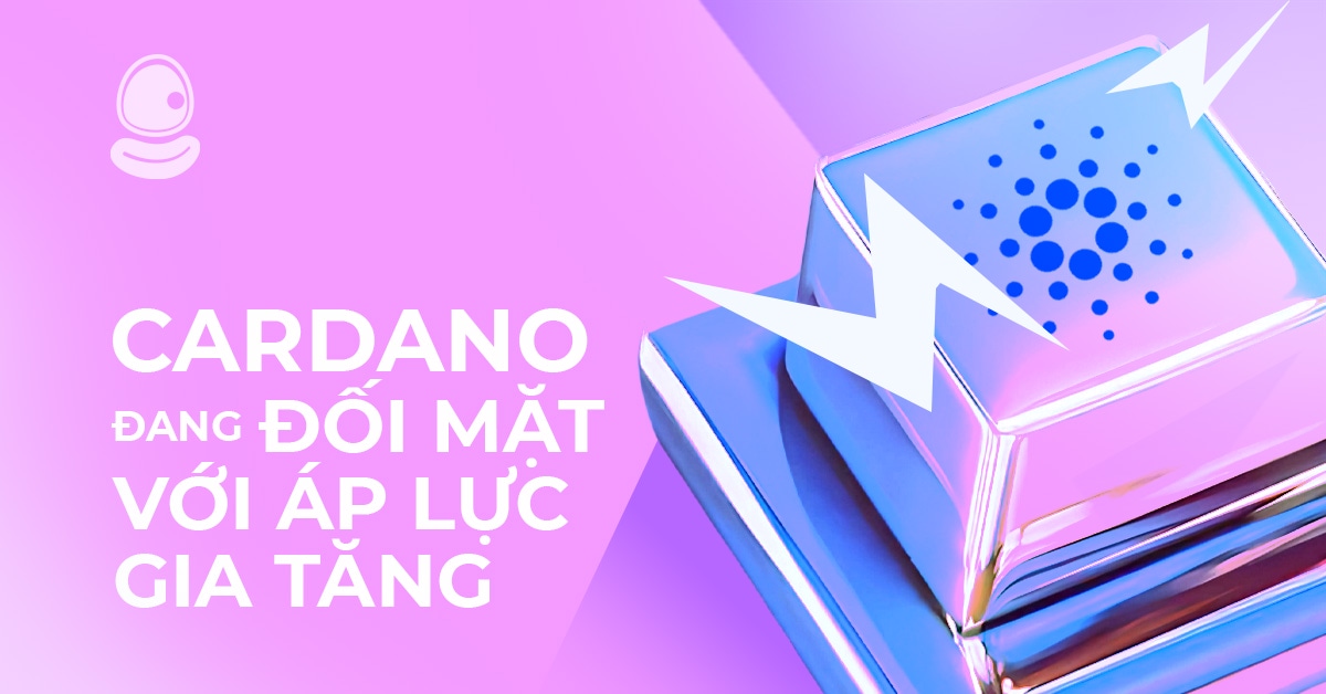 Cardano