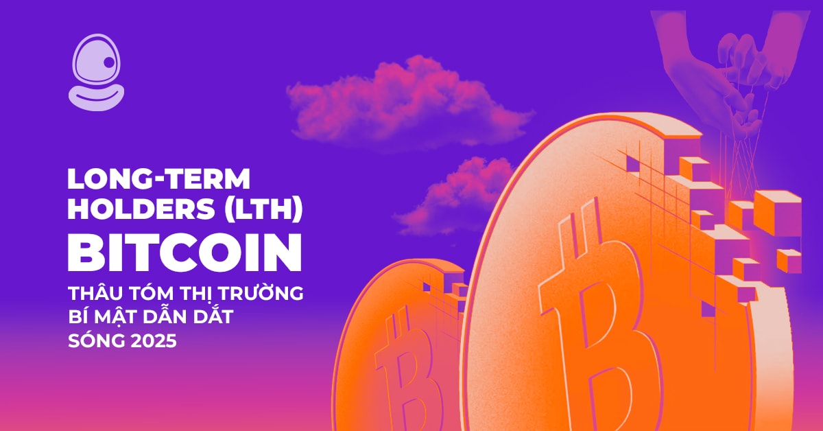 Long-Term Holders (LTH) Bitcoin thâu tóm thị trường bí mật dẫn dắt sóng 2025