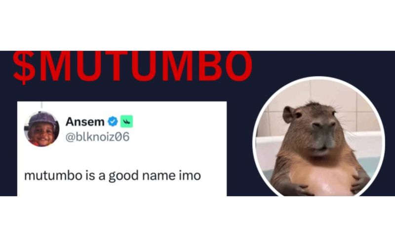 MUTUMBO - Memecoin Capybara tăng trưởng 8.600% 2 MUTUMBO - Memecoin Capybara