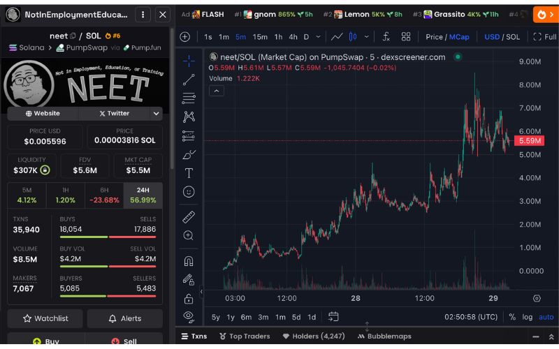 Daily Recap – 29/04/2025: Strategy Mua Thêm 15,355 BTC, $GRASSITO Tăng 1300% 4 NEET chart (Nguồn: DEX Screener)