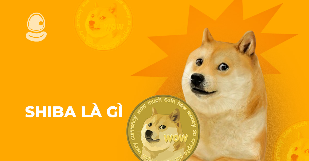 Shiba Inu khác gì với các meme coins khác?